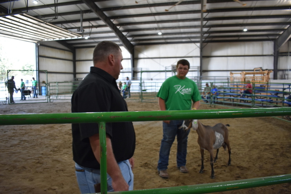 Scenes from the Knox County Fair