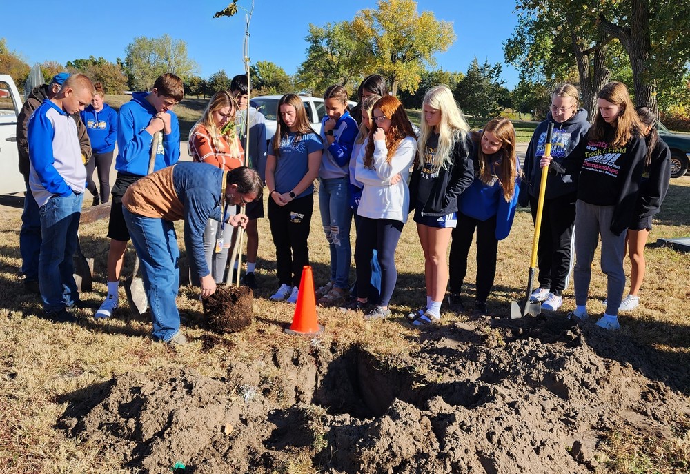 Students plant trees
