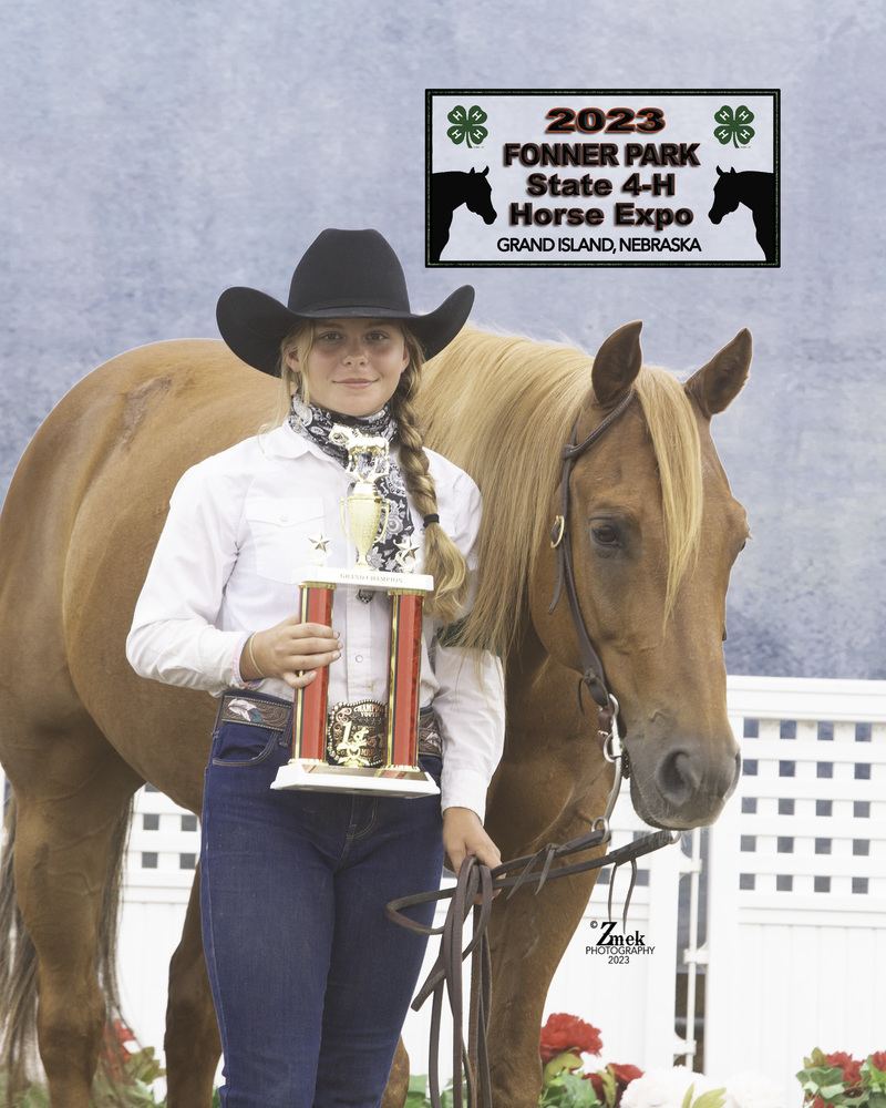 Rachel Harder, 13, of Plainview and her AQHA mare, All Star Royal Wimp were the Champions in the Western Pony Pleasure class.
