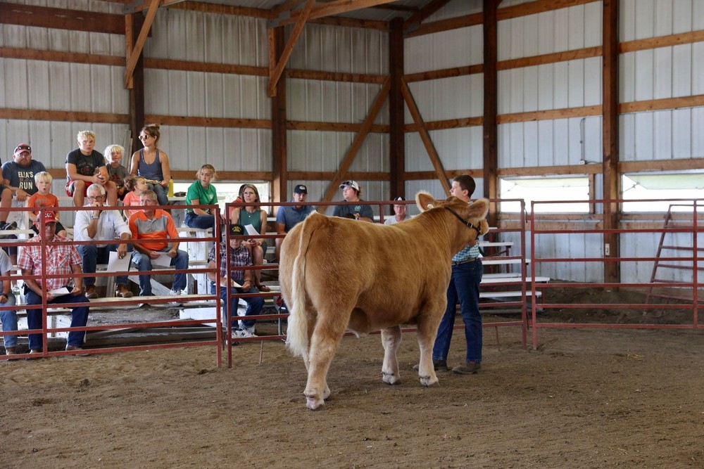 The Dixon County Fair bonus auction