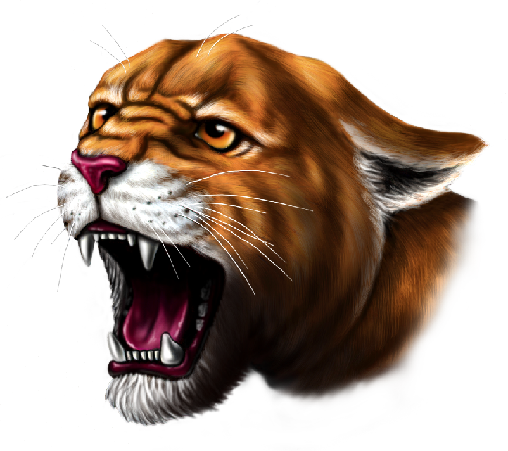 N/V Cougar wrestler competes in Newman Grove meet, Dec. 30