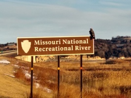 Wildlife viewing at Niobrara