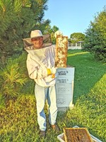Bees are a “Honey of a Project” for Paxton
