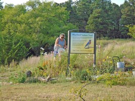 Mill Race Park blooms with color