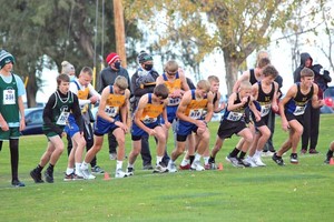 West Holt Harriers qualify for State Meet in Kearney