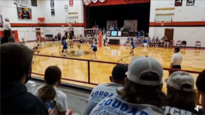 Lady Cougar action