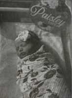 New Arrivals: DeMuth
