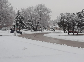 Snowy "Almost Spring" scene