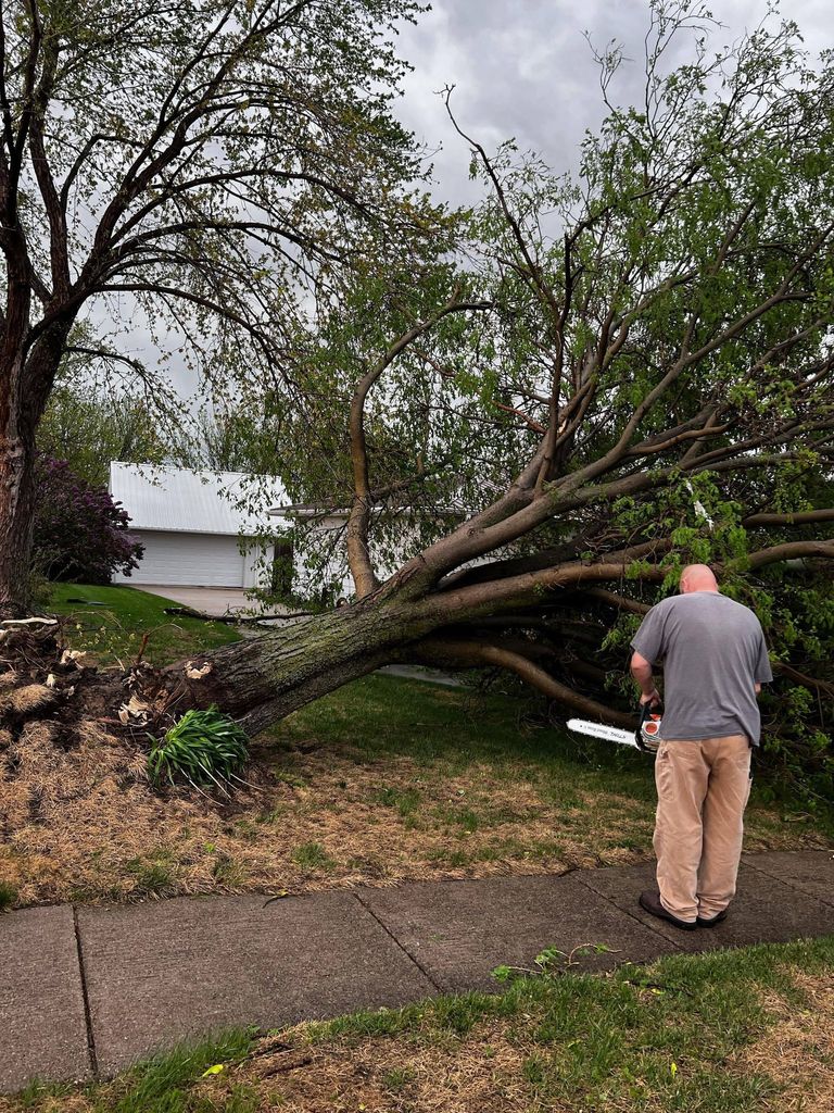 There was lots of chain saw work that had to be done Thursday, following the storm  that blew through Niobrara and a widespread area.