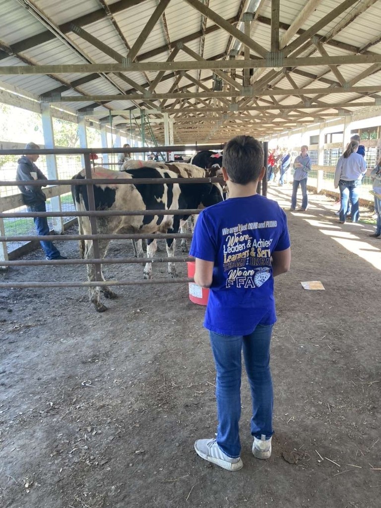 FFA Chapter competes at Dairy judging...