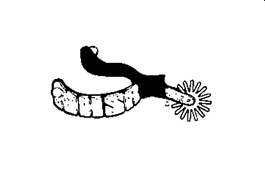 NHSA Logo